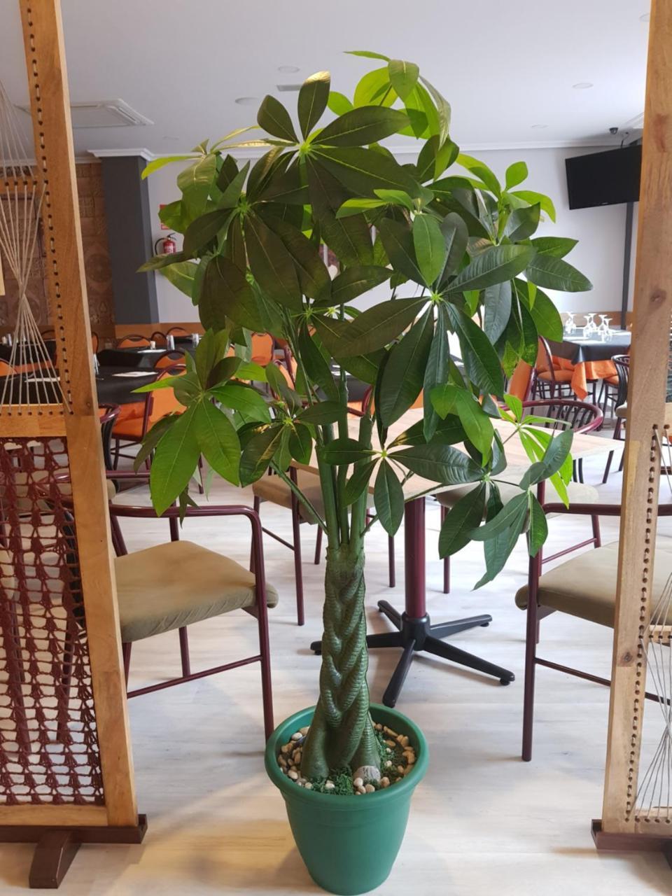 Hostal Restaurante El Abuelo Trobajo Del Camino Luaran gambar